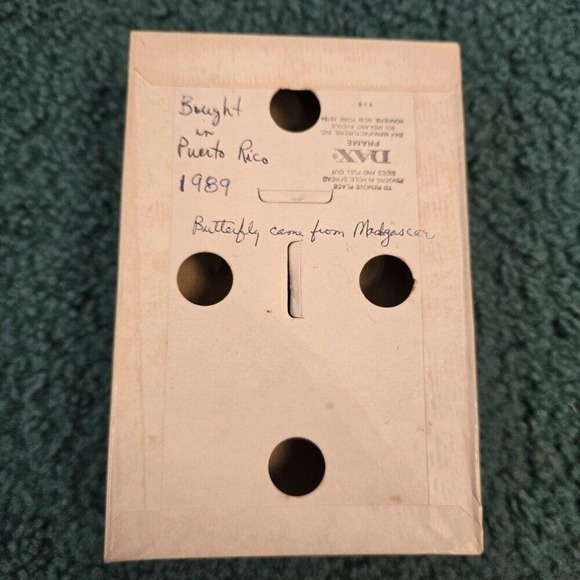 Sea Green Swallowtail Butterfly In Vintage DAX Frame Purchased Puerto Rico 1989 - Picture 6 of 9